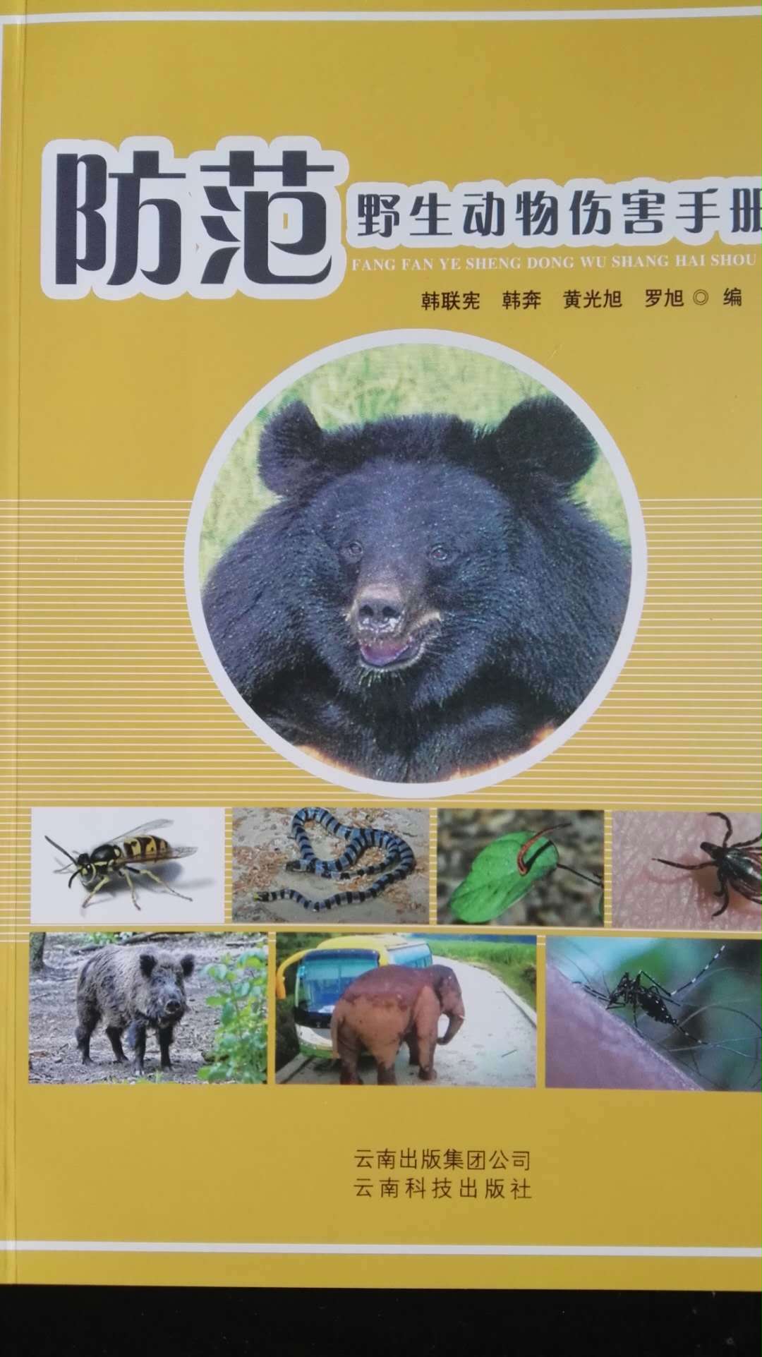 ����Ұ�������˺��ֲ����