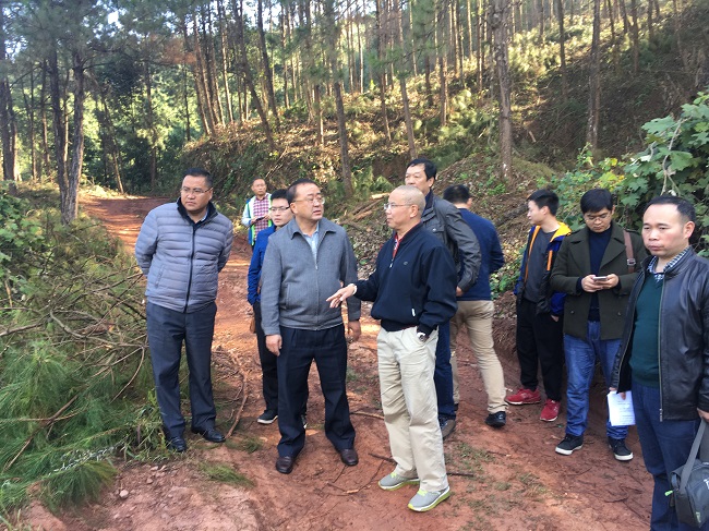 ���������ն���˼é������ɽ�ֳ�Ӫ���� ��� ��