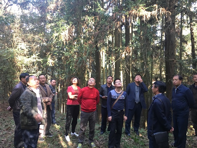 �����������ع����ֳ�����������չ���鹤�� ��� ��