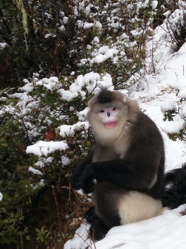 ������ά���ع��������ĵ��˿�� �ŷ�ȫ ��