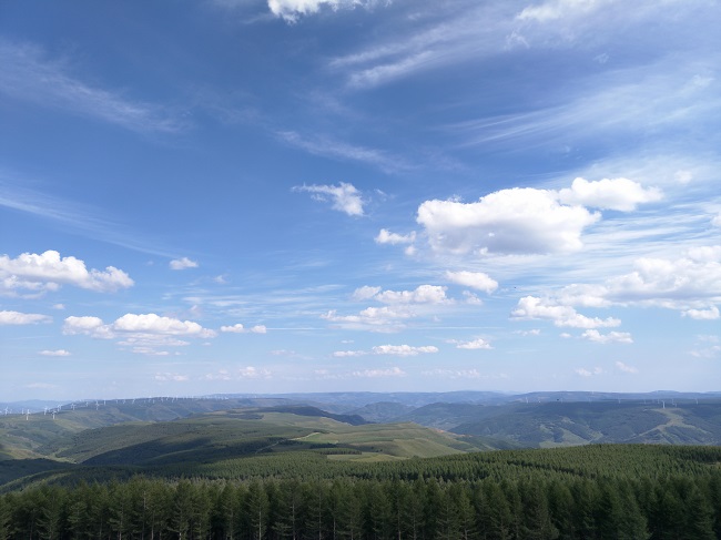 ɭ�ֵĺ�����ƵĹ�����ӵ�Դͷ�����ӻ�е�ֳ� �ŷ�ȫ ��