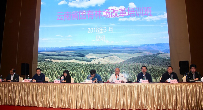 �μӵ�һ����ѵ�������ʡɭ����Ȼ���ġ����������������ۡ���Ϫ����ӡ���ɽ��������ҵ�ַֹܸ��ֳ������Σ�