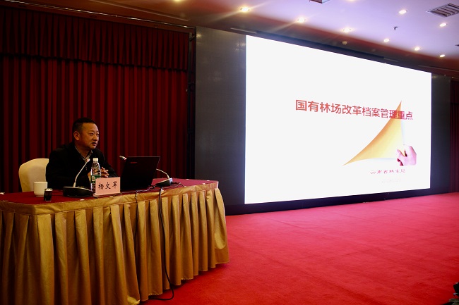 ʡ���������ľ�